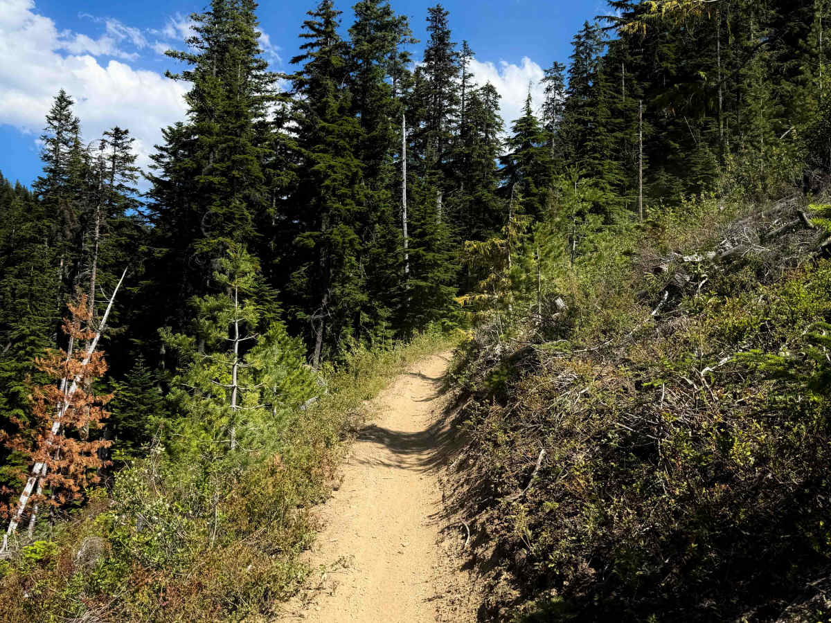 Lower Mount Clifty - FS 947 photo 2