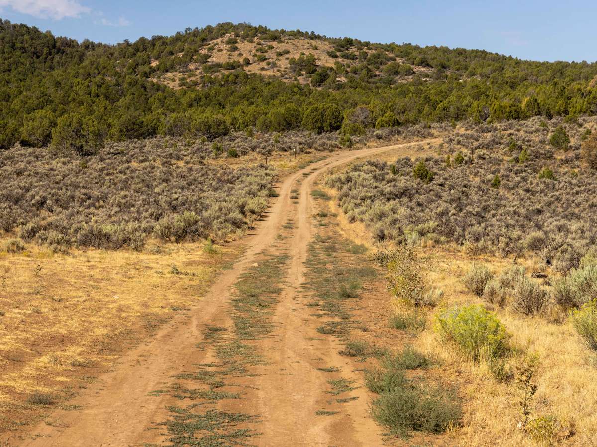 Dry Fork trail photo