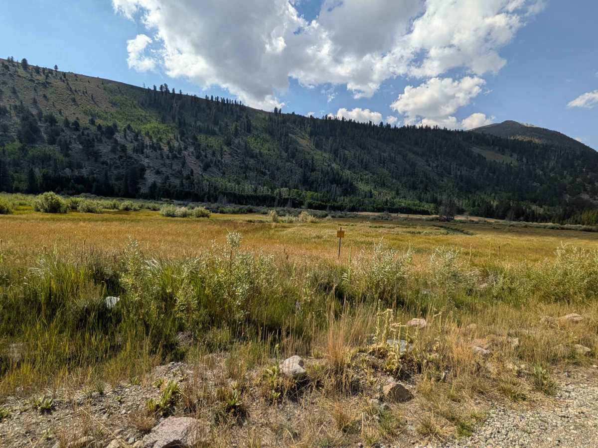 Green Creek Road - FS 32146 photo 2