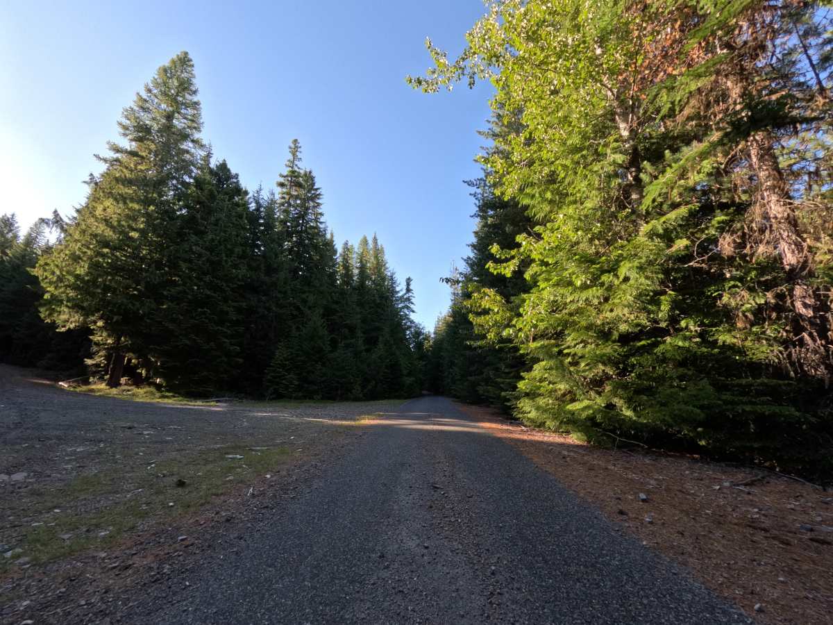 FS 2610250 trail photo