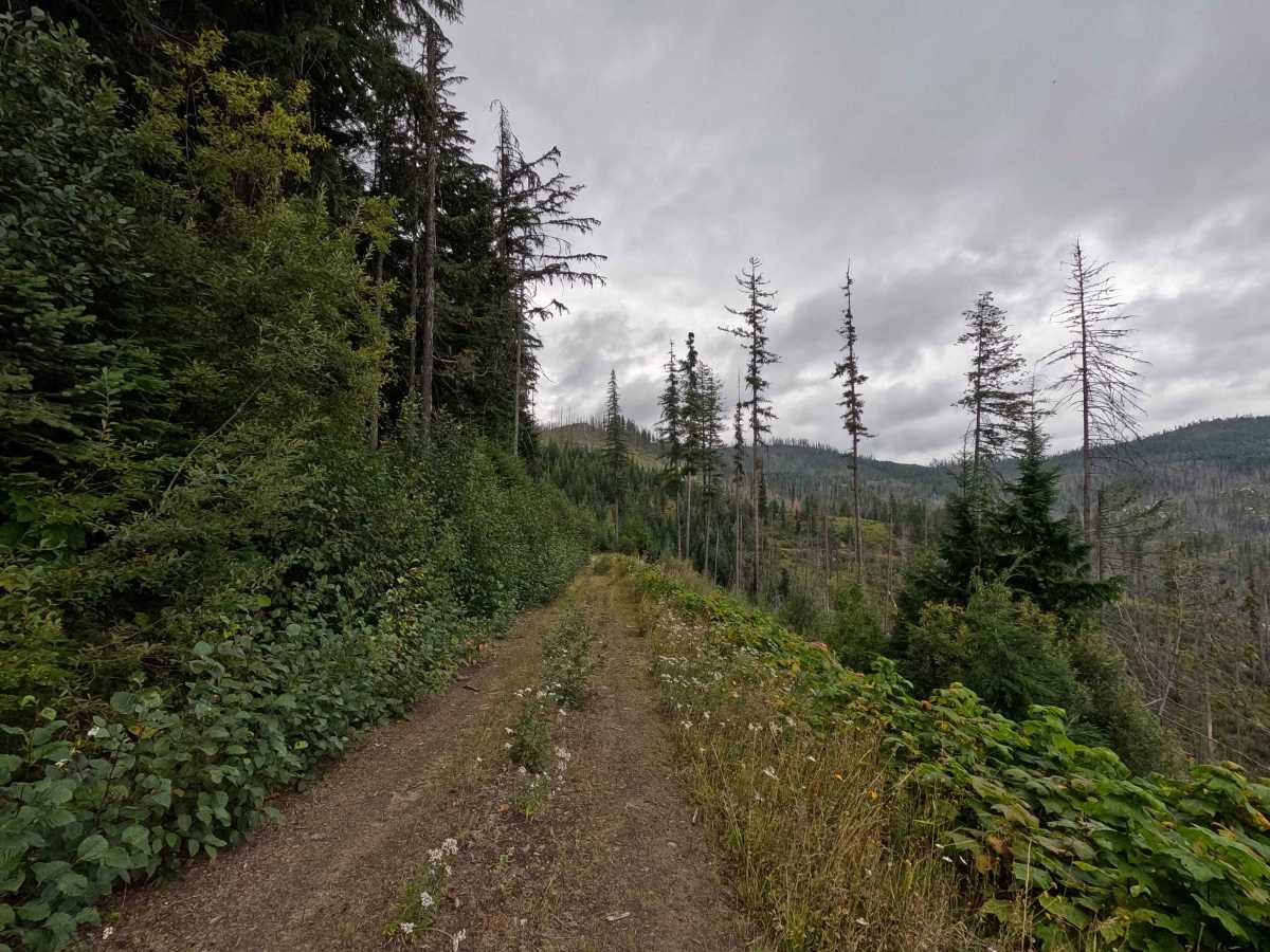 Solo Creek B - FS 659B photo 6