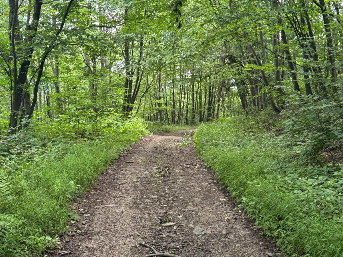 Trail 86 photo 3