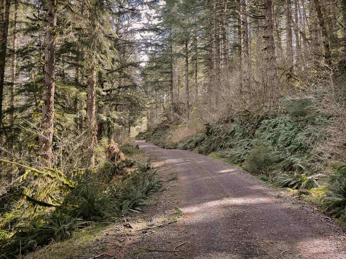 Boundary Road photo 4