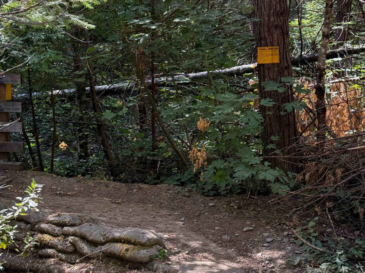 Trail 8 (11E24)  photo 6