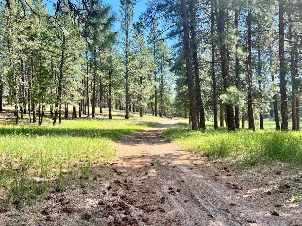 Mud Lake Loop photo 2