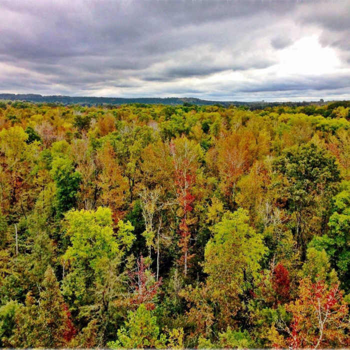 Stunning fall colors seen from the High Bridge on the High Bridge Trail. Near High Bridge Trail