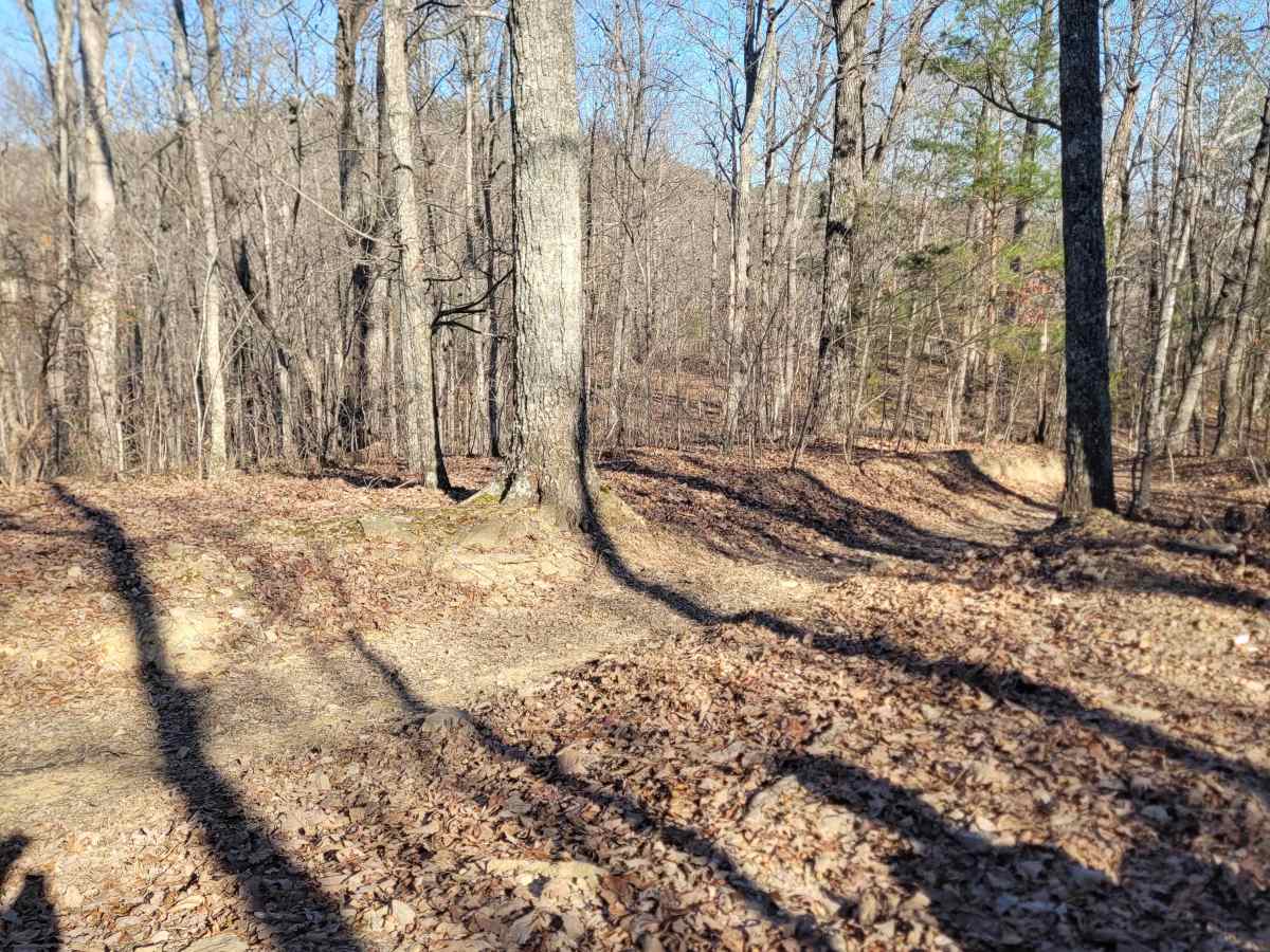 181-B trail photo