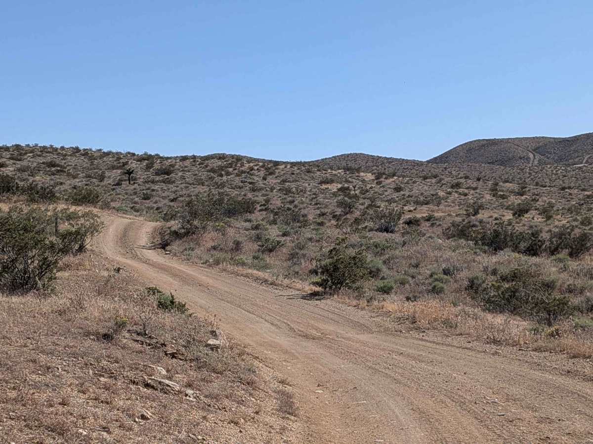 Bonanza Gulch - BLM EP15 photo 4