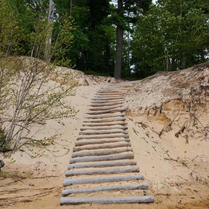 Near Chapel Loop Near Chapel Loop