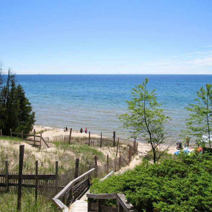 Near Red Trail Near Red Trail