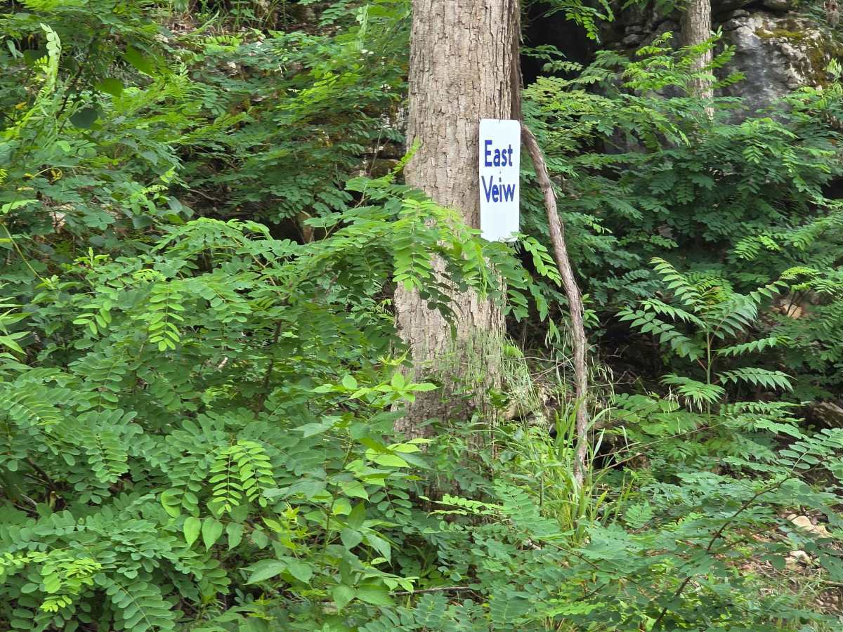East View Ledges photo 4