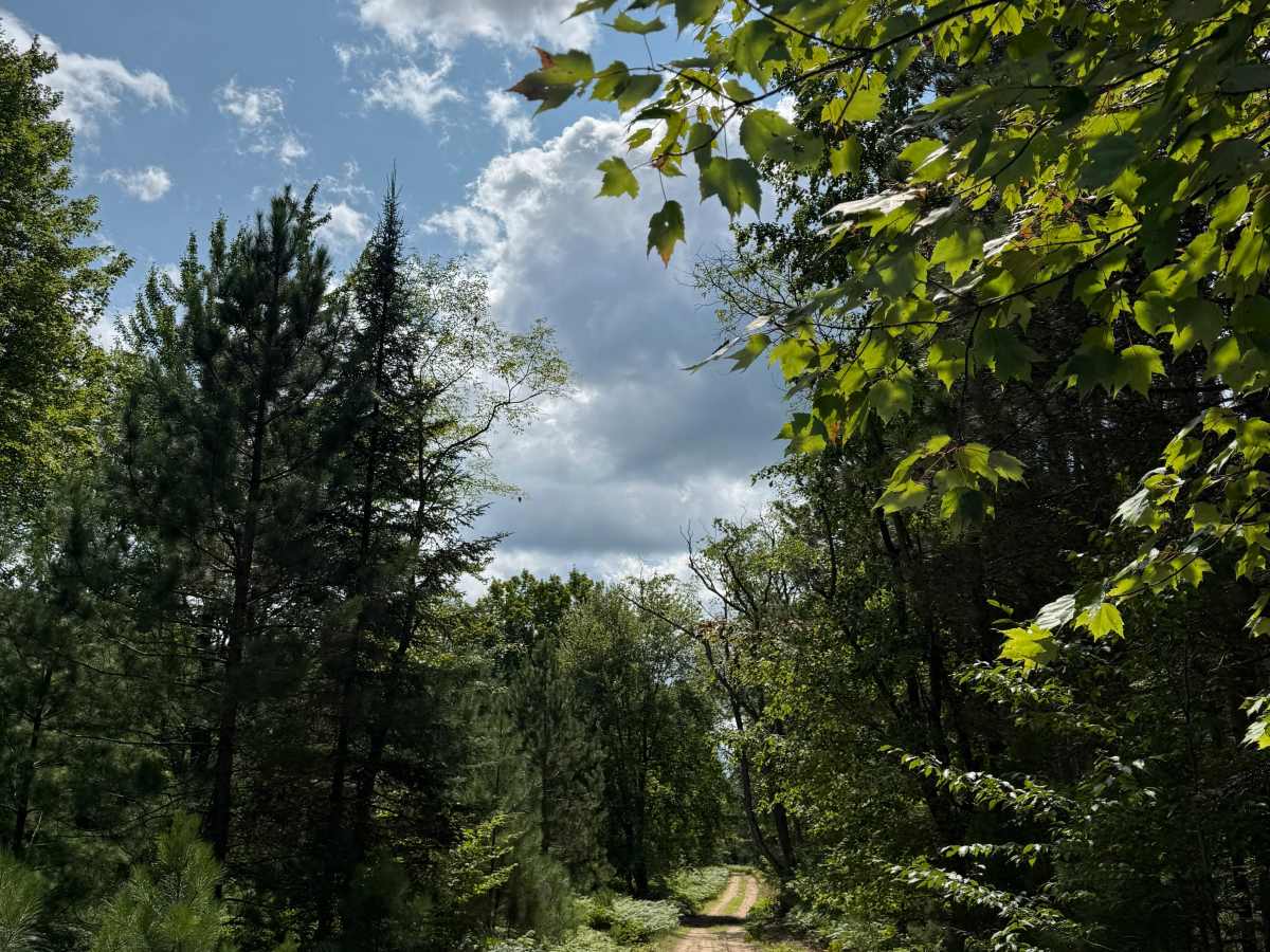 Deer Road Trail trail photo