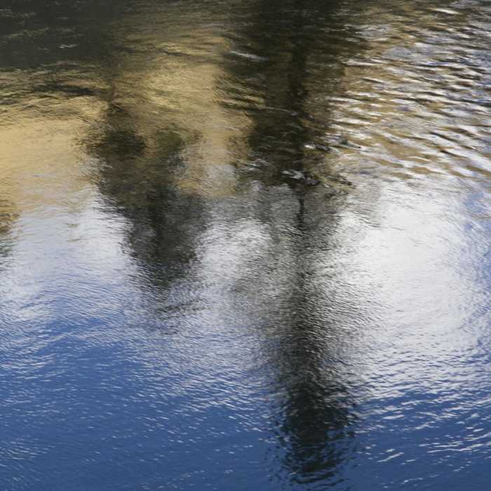 Near Middle Fork of the Salmon River Trail a Day 5