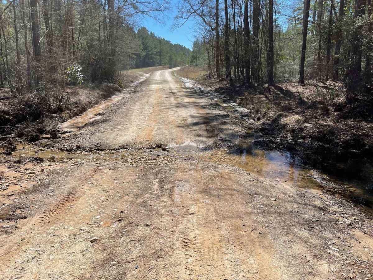 Red Hollow Run trail photo