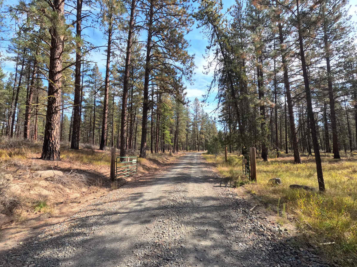 Blacktail Mountain Road photo 2