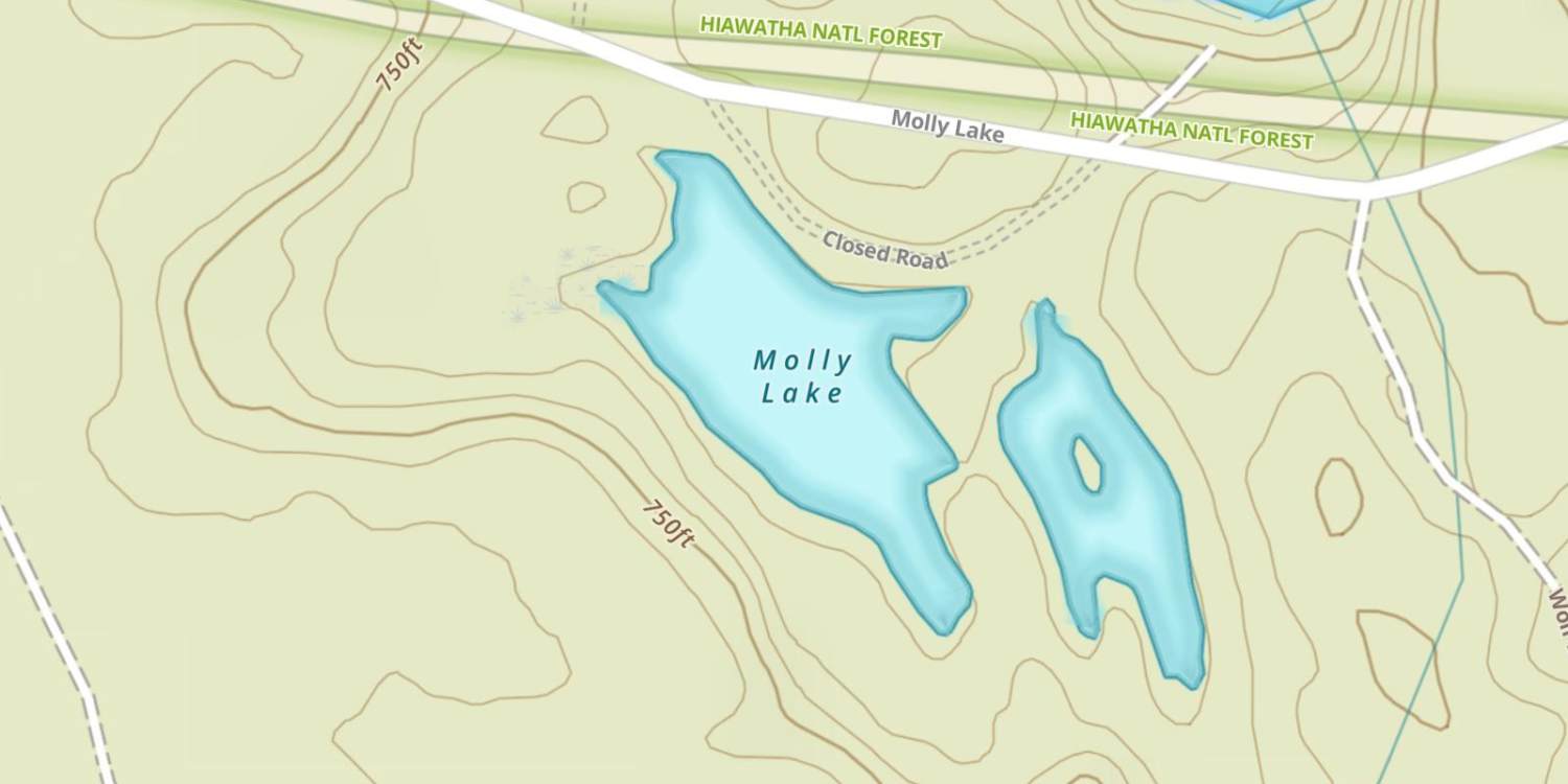 Molly Lake