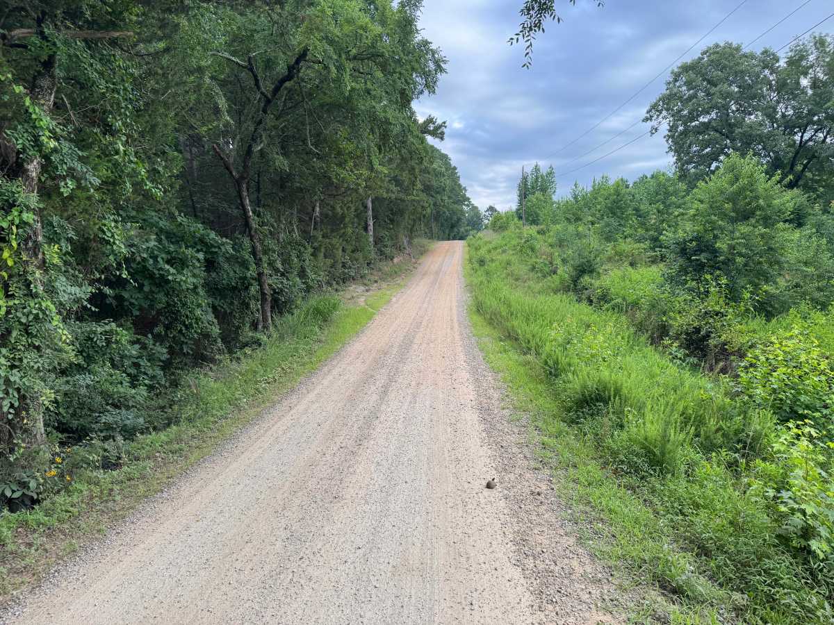 County Road 4418 photo 4