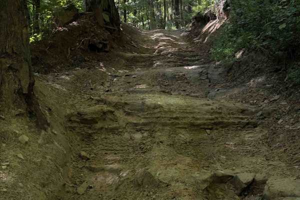 Fred’s Way Trail 28 