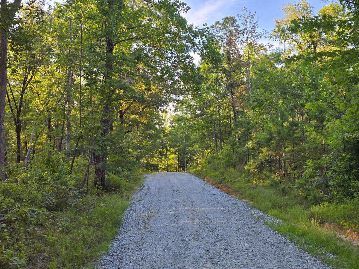 Rhoda Branch - FS 743 photo 4