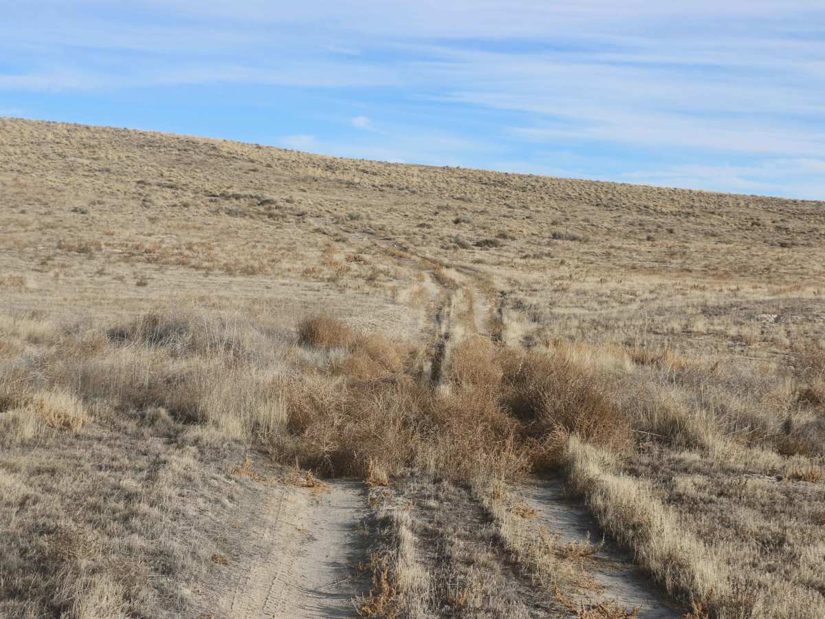 Tumbleweed Lane trail photo