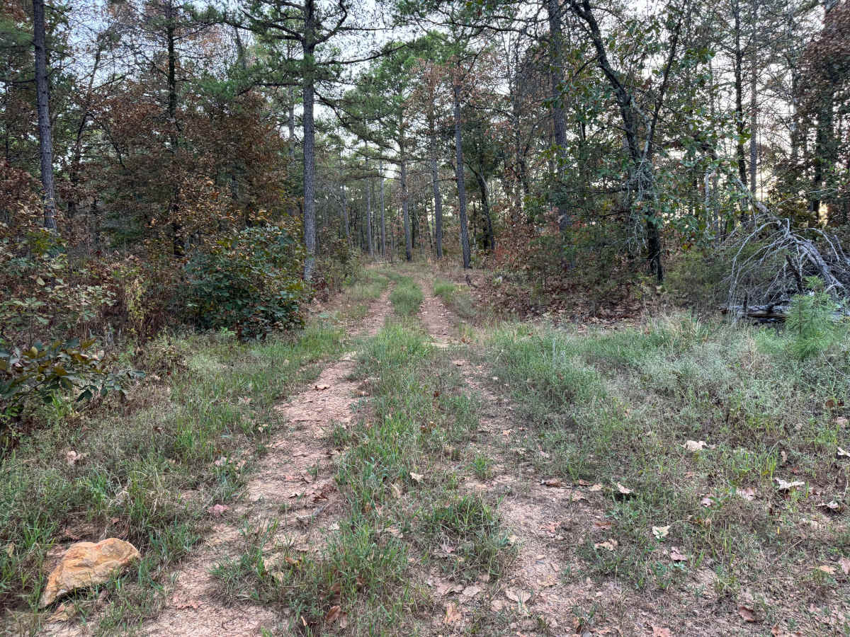 Calico Creek trail photo