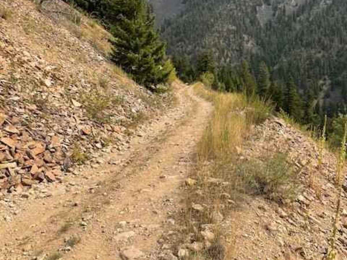 Bulldozer Road photo 4