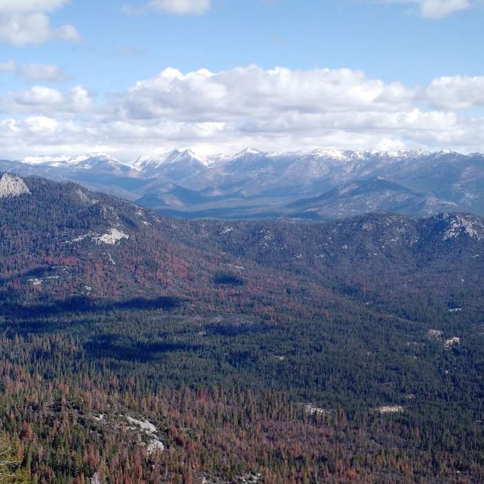 Near The Needles Lookout