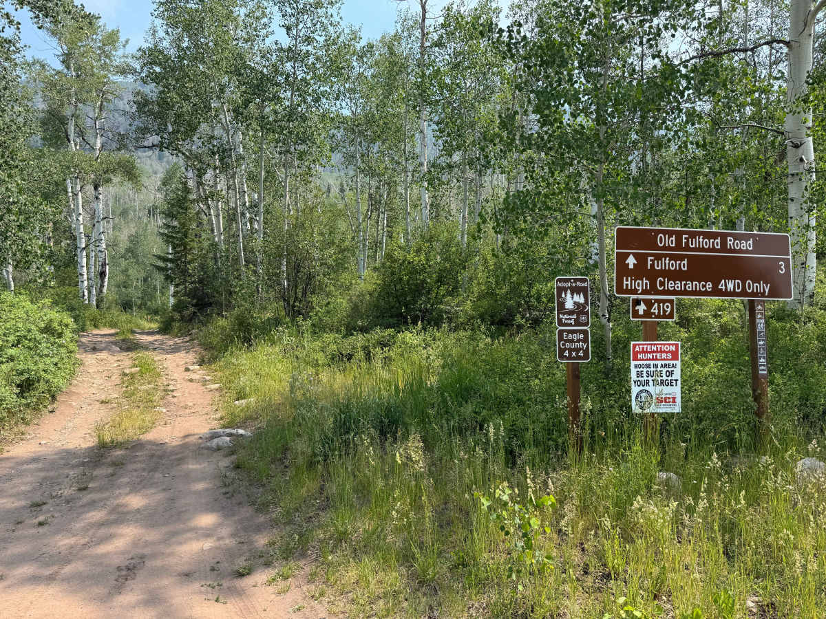 Old Fulford Road - FS 419  photo 2