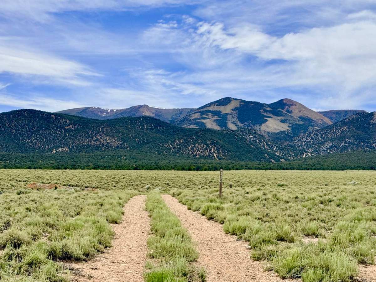 Sawmill Creek Loop Road - FS 44424 trail photo