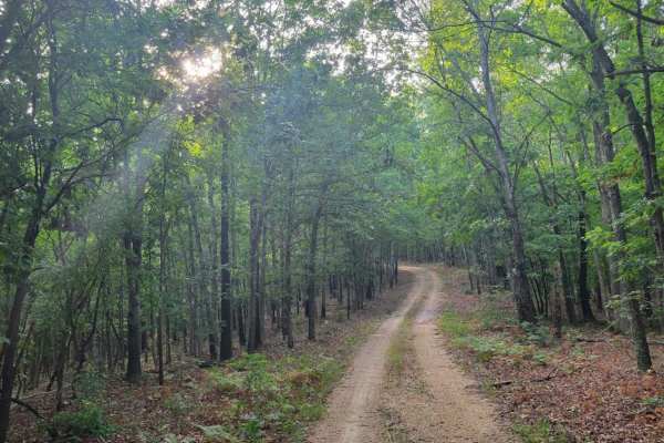 Gooseneck Trail