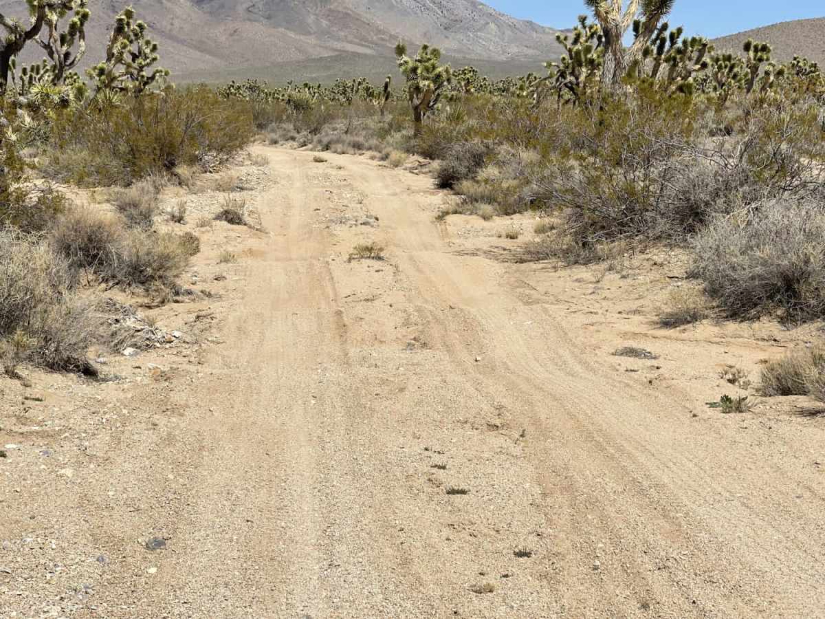 Eastern Zinc Mine Road photo 4
