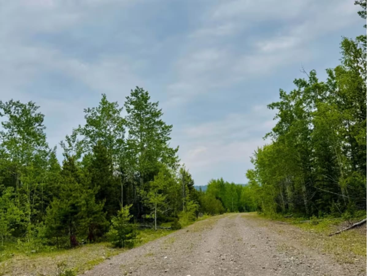 Palmer Lake FSR (Old Road) photo 4