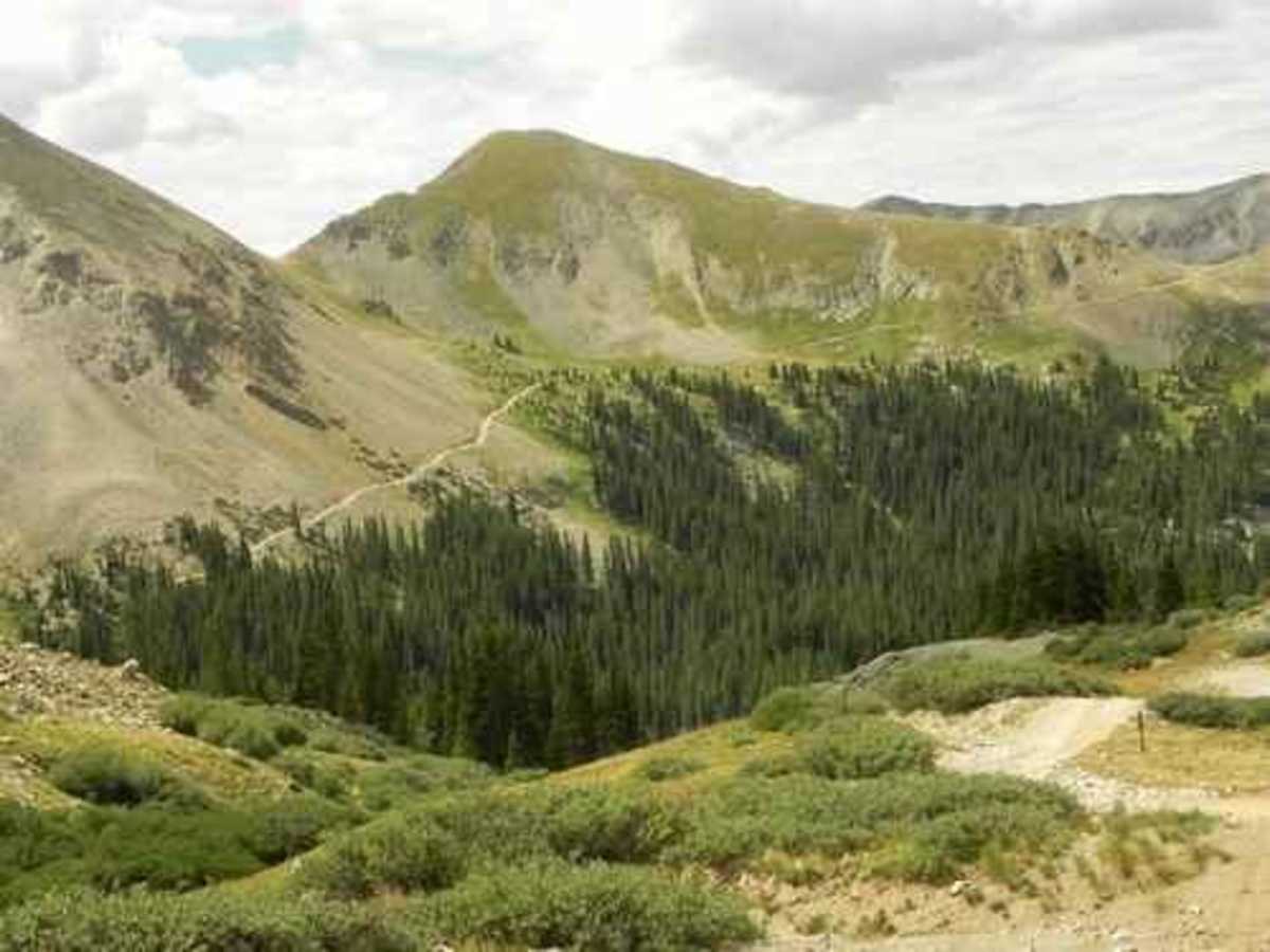 Tomichi Pass trail photo