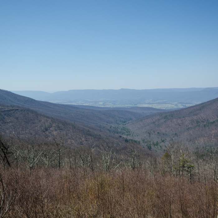 Shenandoah National Park Near Neighbor Mountain - Jeremys Run Loop