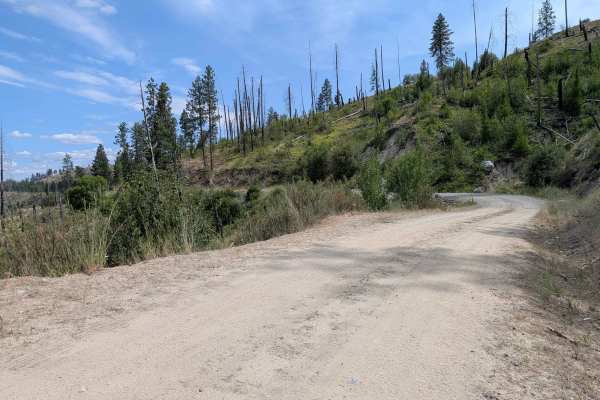 North Cook Mountain Road North half