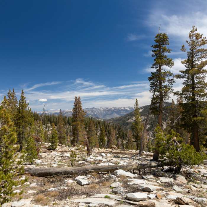 Near Jennie Lake Out and Back