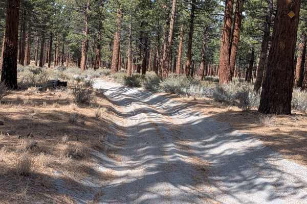 Old Rail Road - FS 1S13