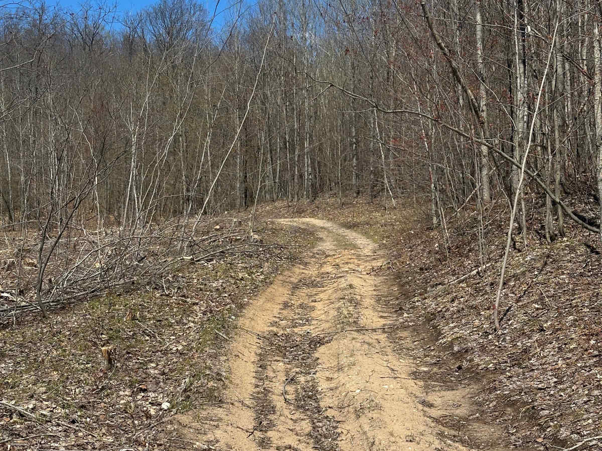 Storm Loop photo 6
