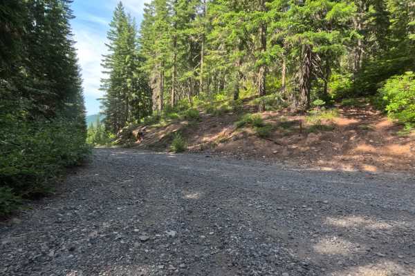 Elk Lake - FS 4697
