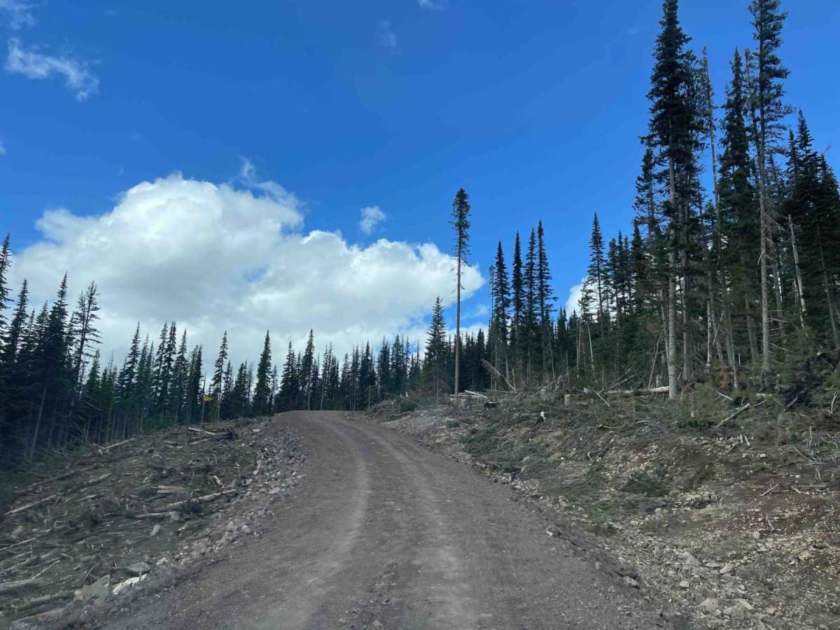 Telkwa 116 Road photo 5