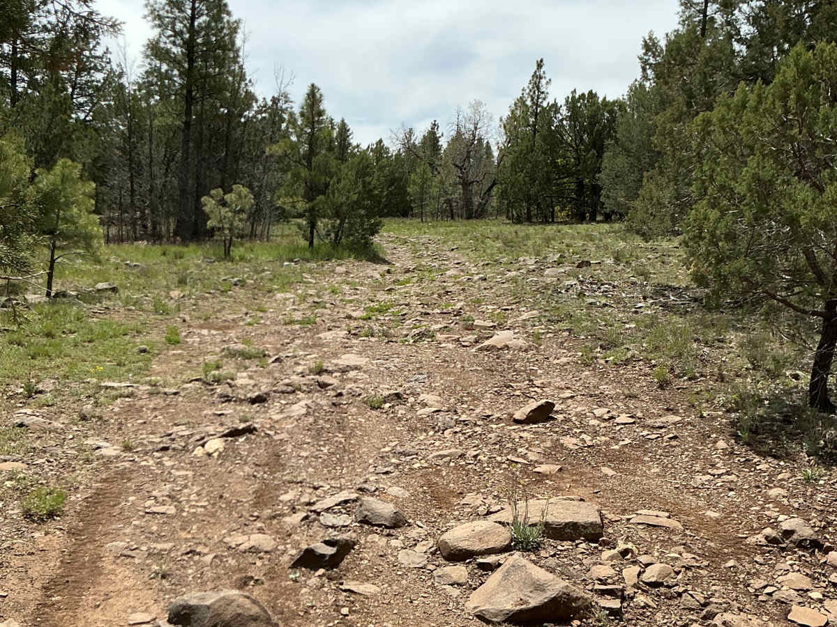 FS 9243R trail photo