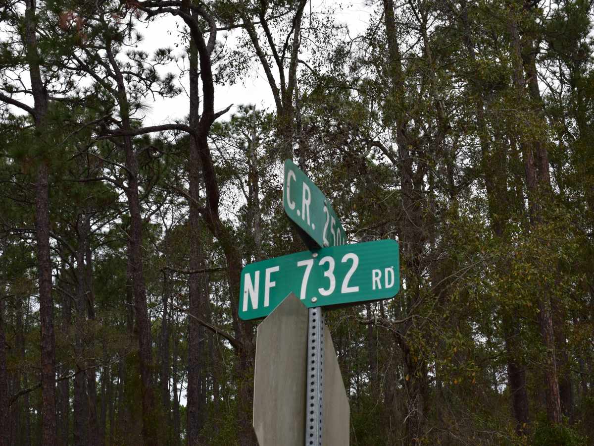 FR 732 photo 2