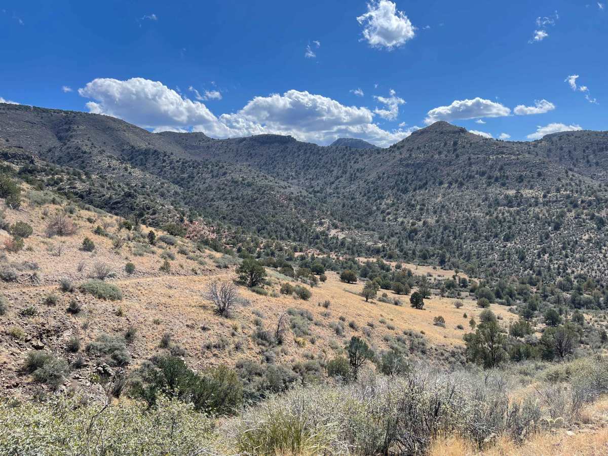 Triple C trail photo