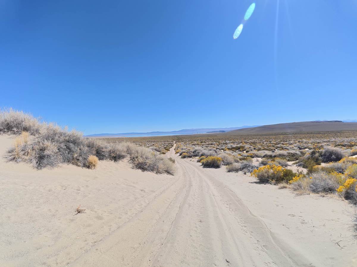 Dechambeau Pipeline photo 6