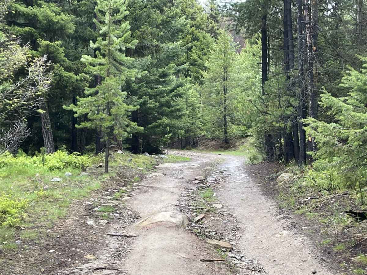 Summit Cabin Road photo 5