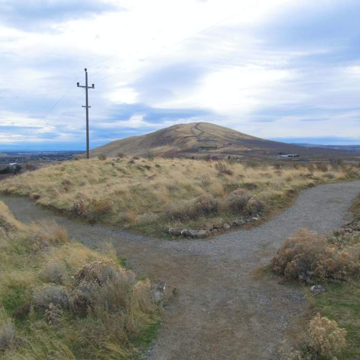 Near Candy Mountain Trail
