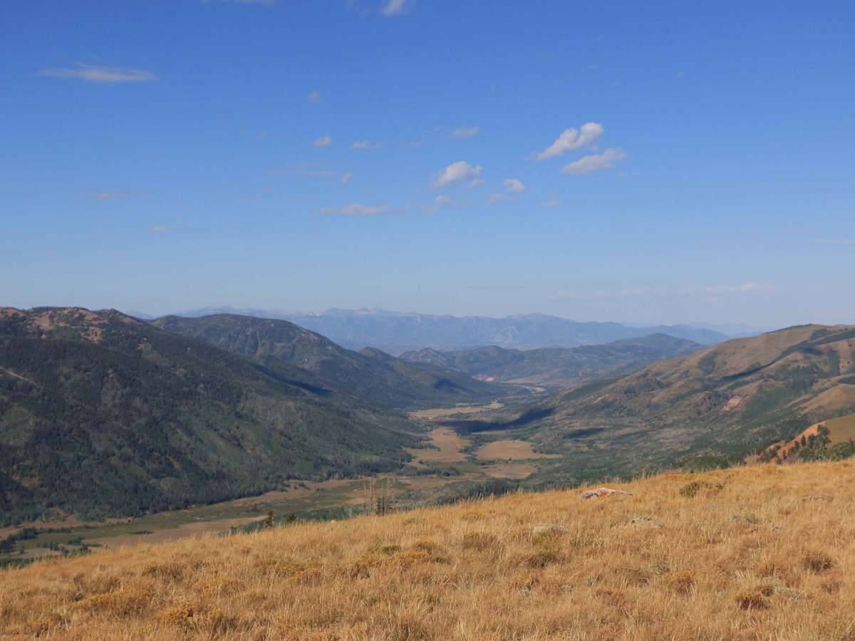 Moffit Pass - FS 80135 photo 5