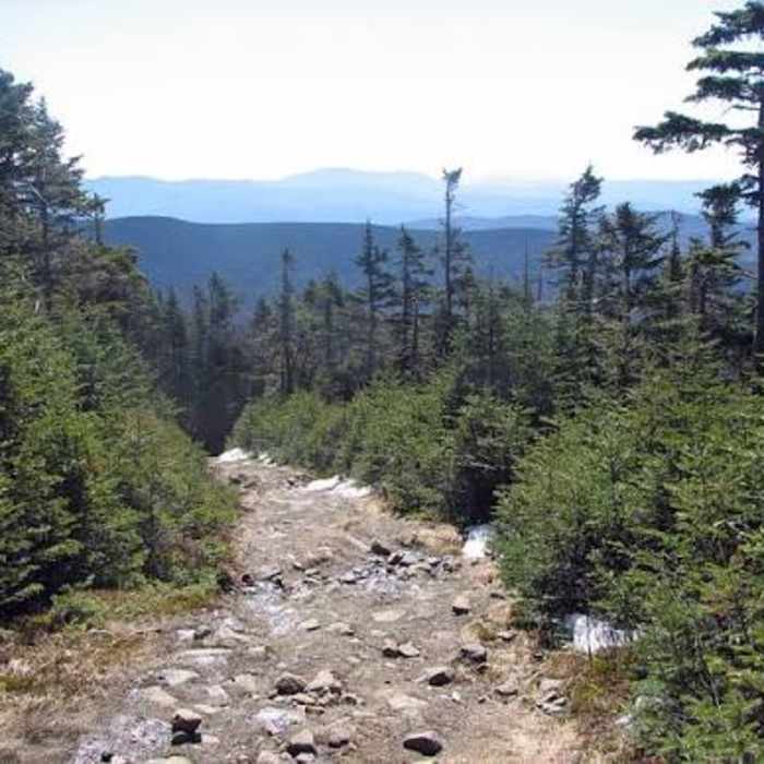 Near Mount Moosilauke Carriage Road Near Mount Moosilauke Carriage Road