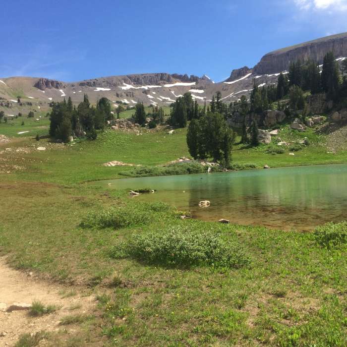 Near Teton Crest Trail - North