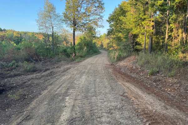 Zelon Young / Robert Hill Road